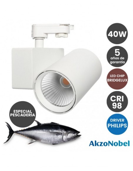 FOCO 40W PHILIPS MONOF  C BRIDGELUX BLANCO PESCADO