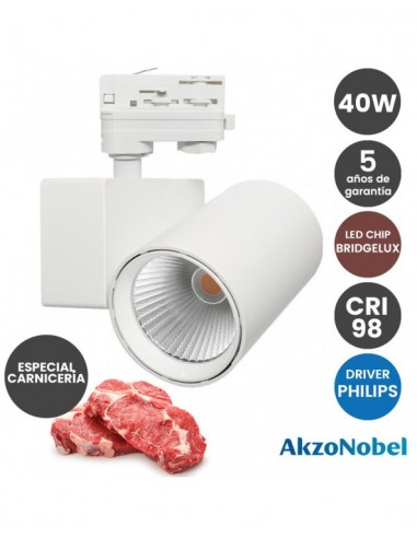 FOCO 40W PHILIPS TRIFAS C BRIDGELUX BLANCO CARNICO