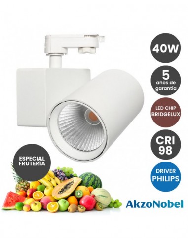 FOCO 40W PHILIPS TRIFAS C BRIDGELUX BLANCO FRUTAS