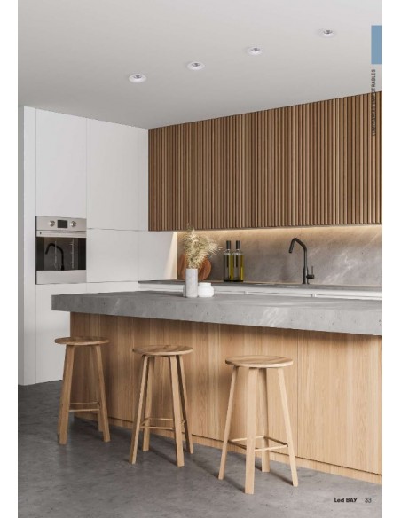 RAF FOCO 8W REGULABLE... 2