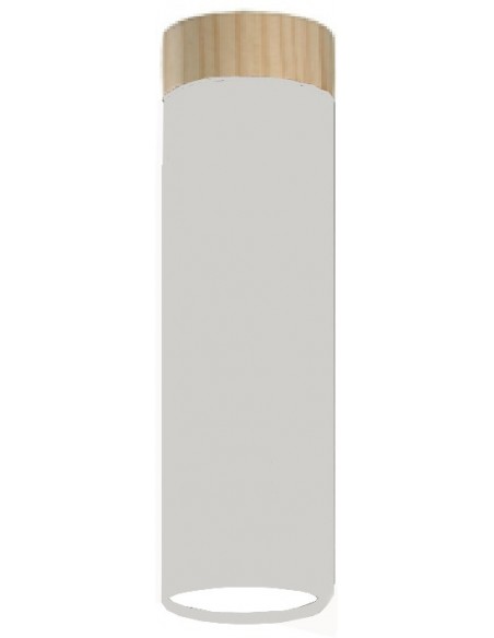 FOCO GU10 PLAFON 1 LUZ...