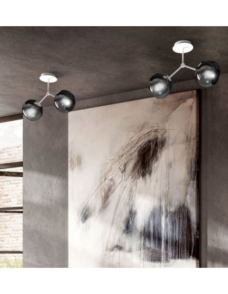 APLIQUE DE TECHO SARA/PL2 B... 2