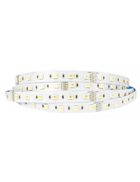 TIRA LED RGB CCT 21W DC24V IP20 12mm ROLLO 5m