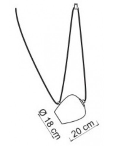 TULIPA FOCUS/R  AMBAR