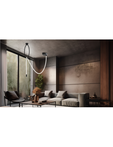 PLAFON COLGANTE  TECHO FYLL/PL...