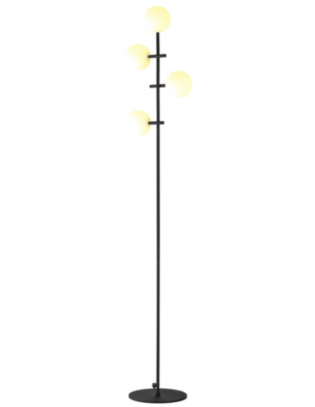 CELLAR * PIE SALON 4L x G4