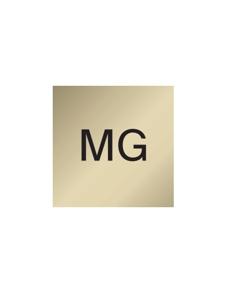 FOOCO CARRIL GU10 MONOFASICO ORO MATE 2