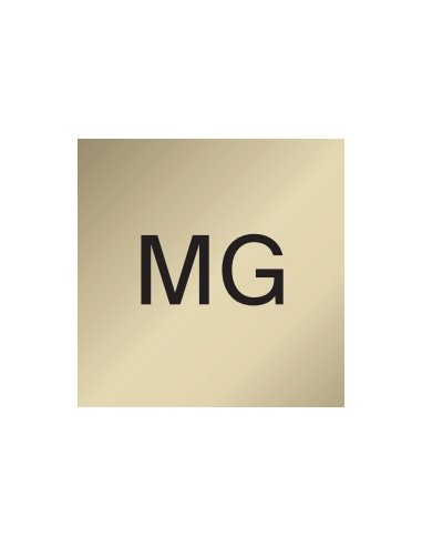 FOCO FOCUS CARRIL GU10 MONOFASICO ORO...