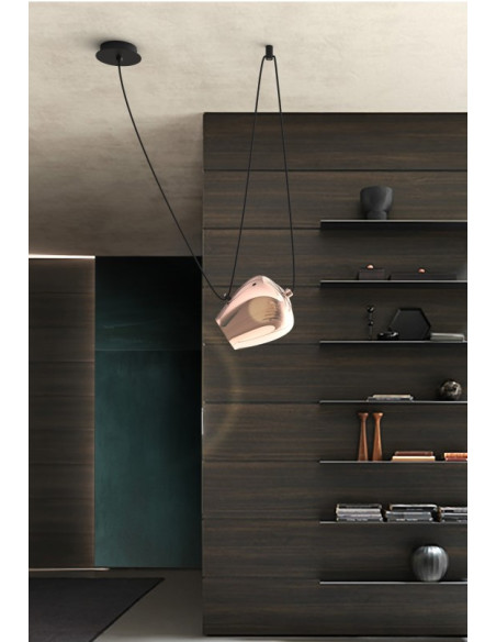 TULIPA FOCUS/R  AMBAR 2