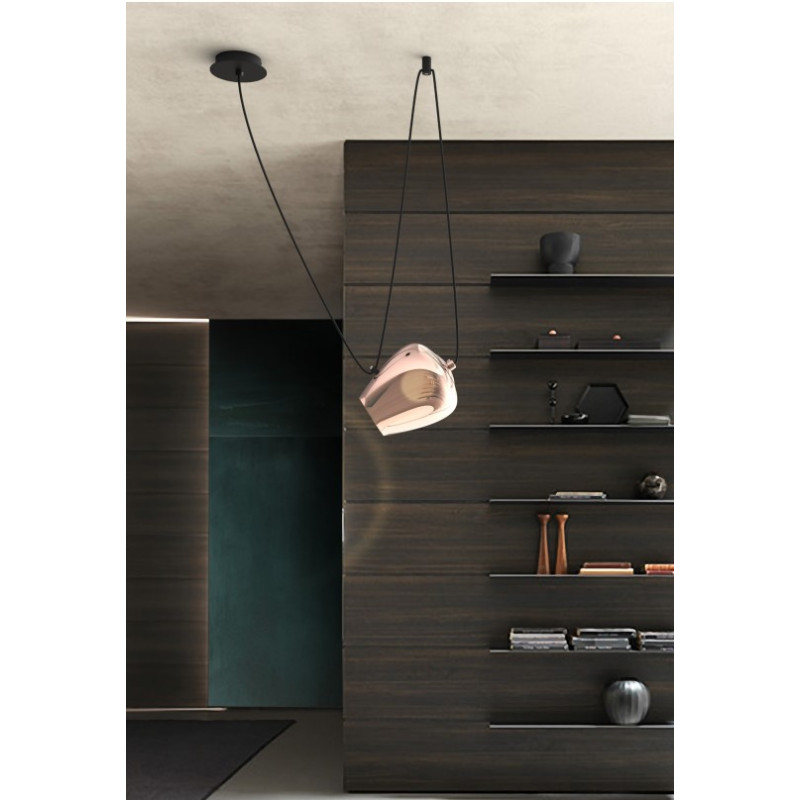 TULIPA FOCUS/R  AMBAR