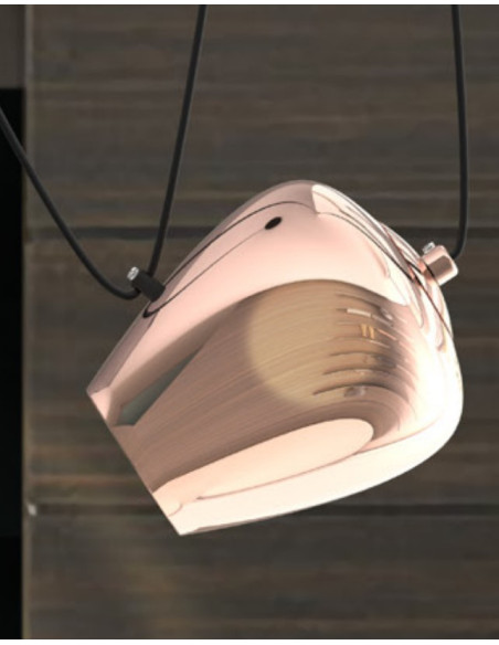 TULIPA FOCUS/R  AMBAR