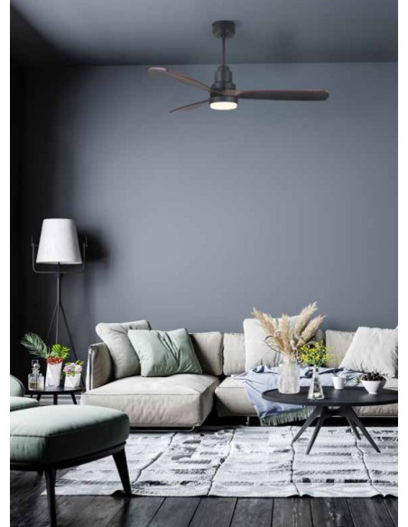 MALLORCA DC NEGRO NOGAL... 2