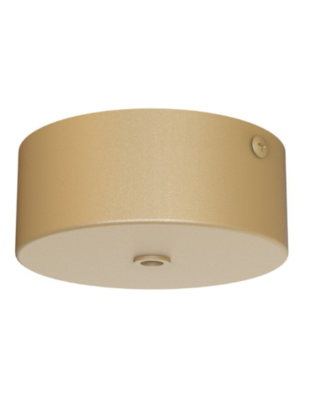 ARRECIFE" BASE FLORON...