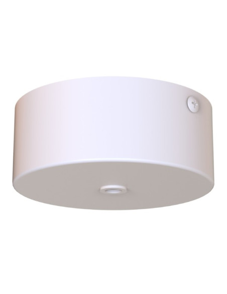 ARRECIFE" BASE FLORON...