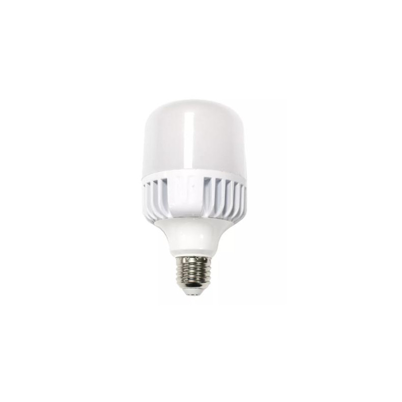 Bombilla LED T100 para farolas 30W 50K