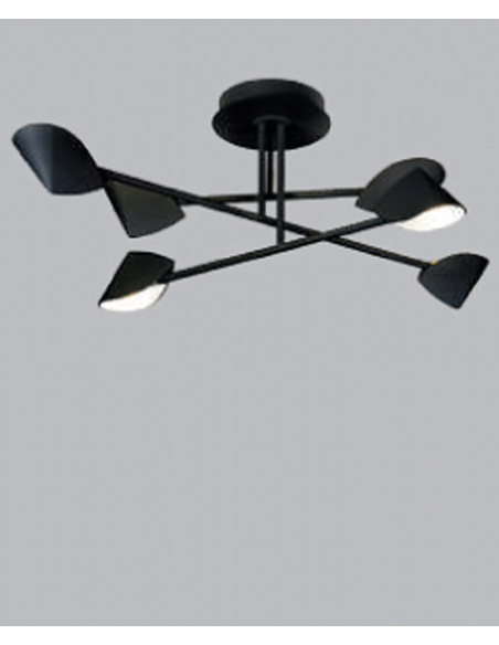 CAPUCCINA PLAFON DISEÑO...