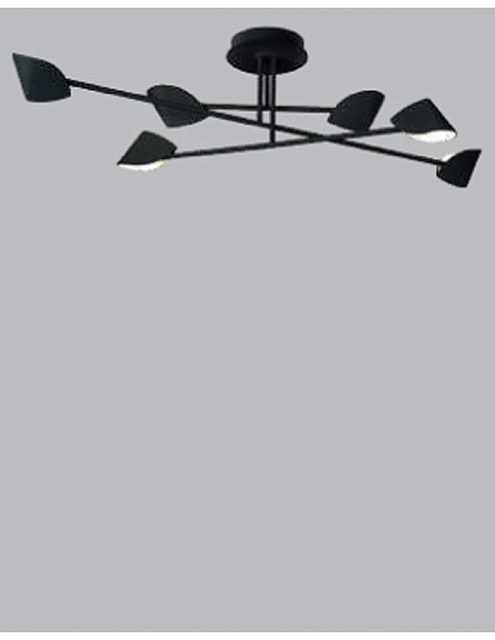 CAPUCCINA PLAFON DISEÑO...