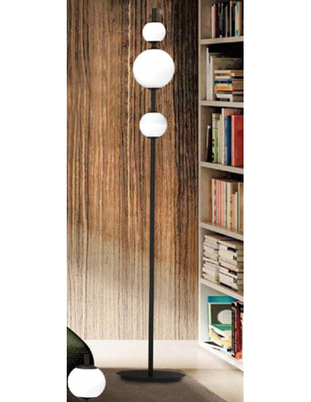 TOLOMEO PIE DE SALON... 2