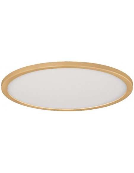 DOWNLIGHT 23CM AJUST  20W 6000K ORO