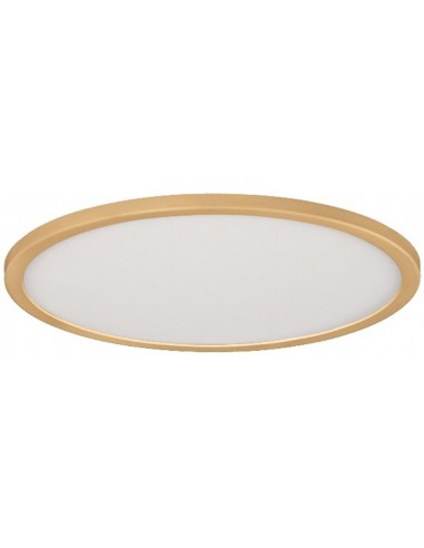 DOWNLIGHT 23CM AJUST  20W 4000K ORO