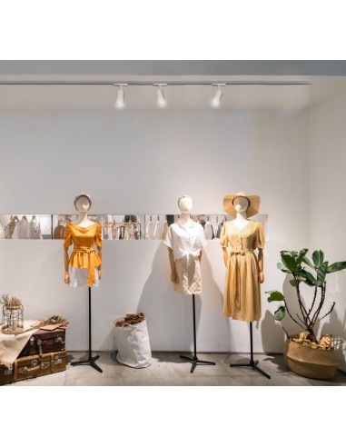 FIJI * FOCO CARRIL TRIFASICO 20W...