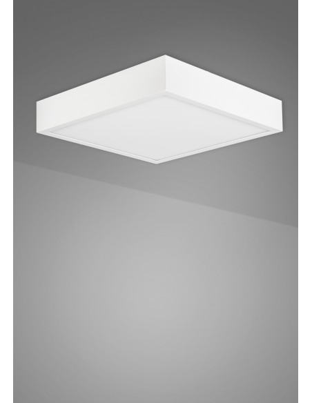 SAONA SUPERFICIE *...