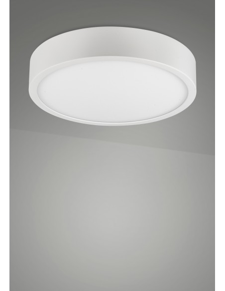 SAONA SUPERFICIE *...